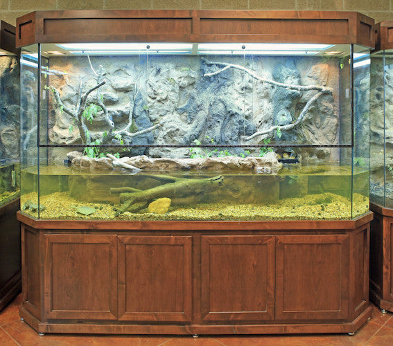 Exhibit "Arkansas Terrariums"