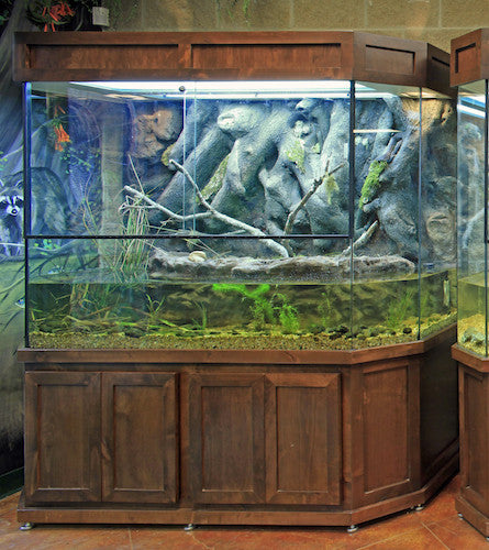Exhibit "Arkansas Terrariums"
