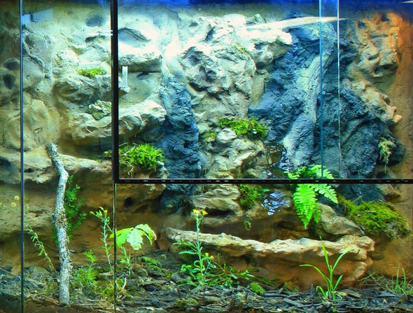 Exhibit "Arkansas Terrariums"