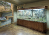 Custom Design Terrarium by DAS Aquariums