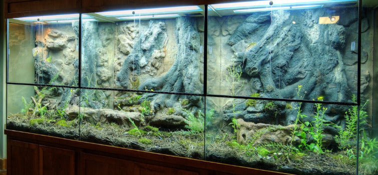Custom Design Terrarium by DAS Aquariums