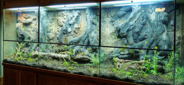 Custom Design Terrarium by DAS Aquariums