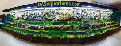 41ft Riverbank Tank "Aquatic Experience 2015"