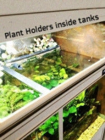 THRIVE Freshwater Fish Care Racks