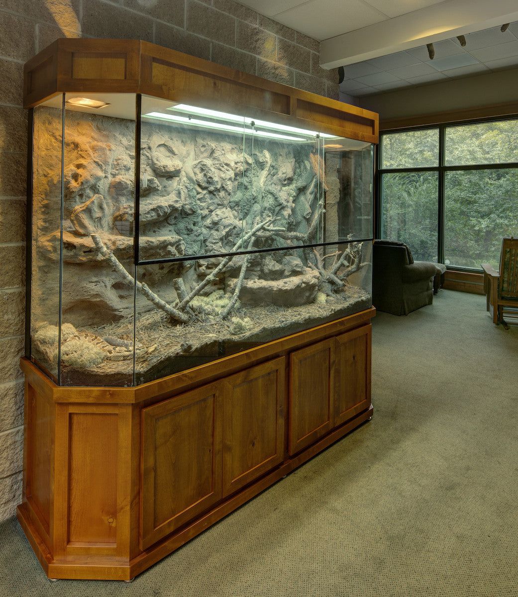 Rattle Snake Custom Design Terrarium at a Nature Center
