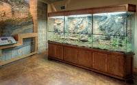 Custom Design Terrarium for Nature Center