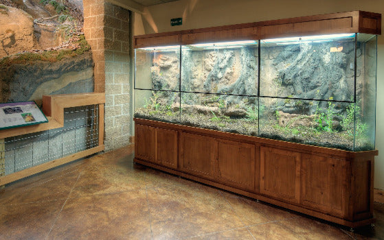 DAS | Custom Aquarium Racks & Animal Habitats for Retail & Education