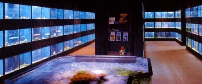 Freshwater Fish Enclosures Commercial Retail Rack Display