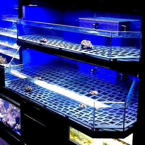 Marine Fish, Frag or Invertebrate Racks