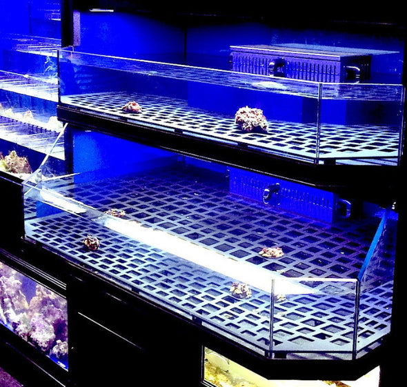 Marine Fish, Frag or Invertebrate Racks