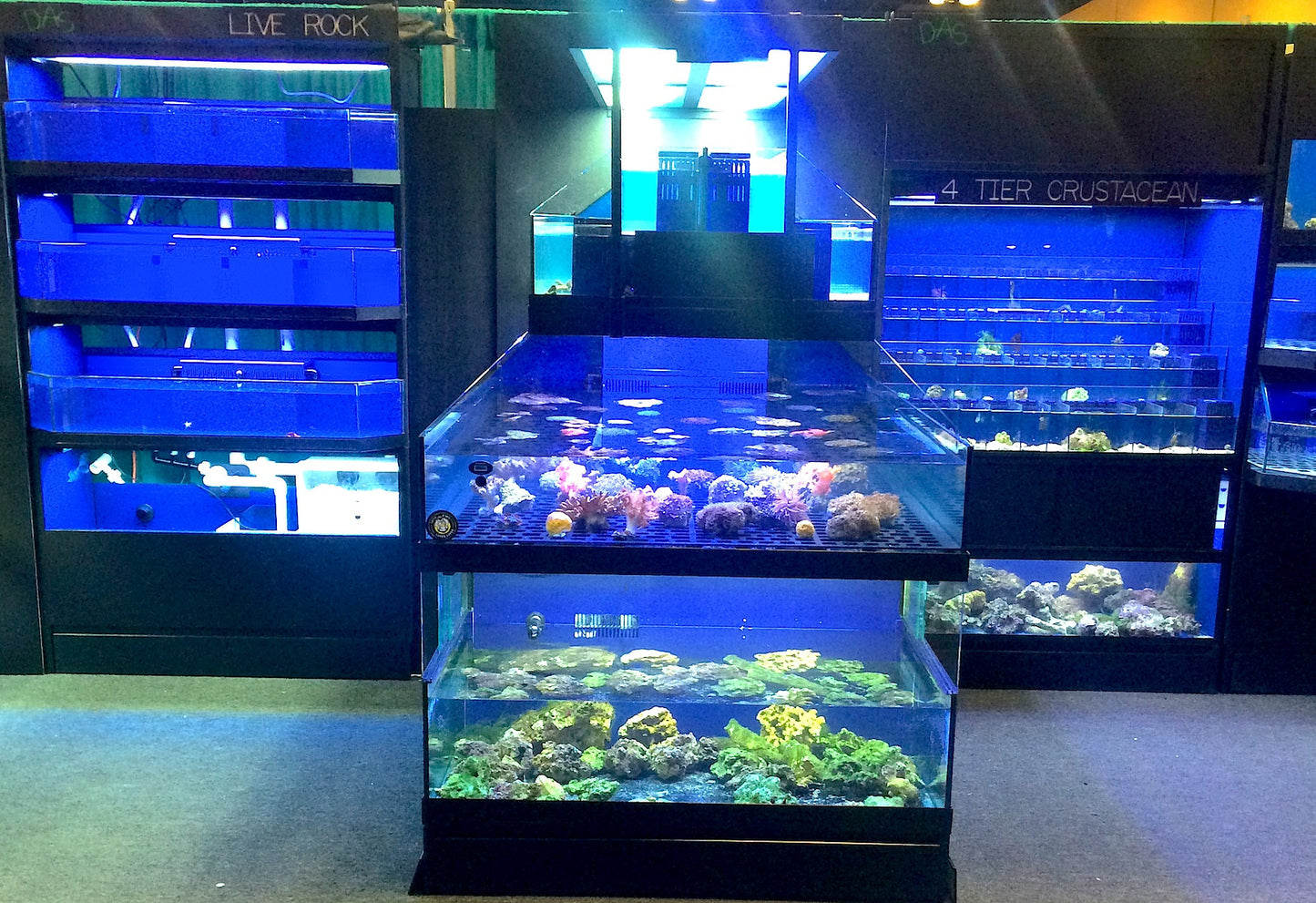 Tropical Fish Store Frag Tank Display Table