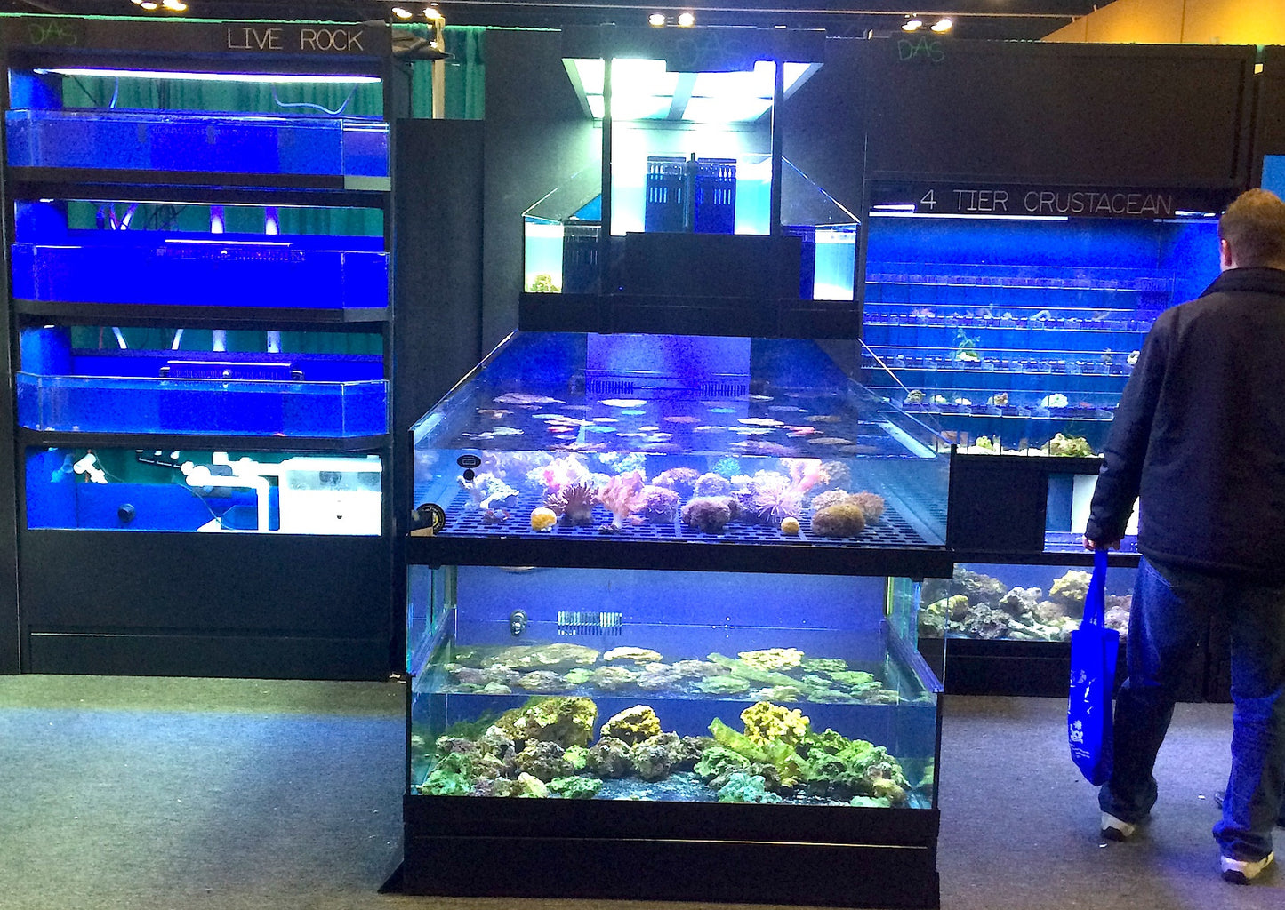 Tropical Fish Store Frag Tank Display Table