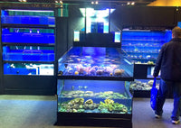 Tropical Fish Store Frag Tank Display Table