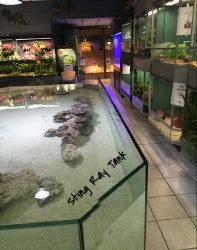 Exhibit "Stingray Coffee Bar"
