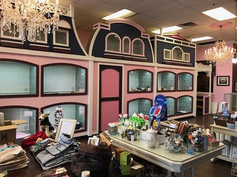 Unique Township Design for Pet Store Fixtures