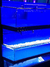 Marine Fish Live Rock Coral Frag Crustacean Enclosure Retail Display