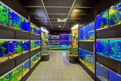 Freshwater Fish Enclosures