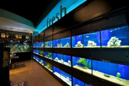 Freshwater Fish Enclosures Commercial Retail Rack Display