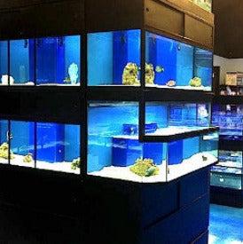 Fish Arranging Rack Marine Fish Aquarium Racks β DAS