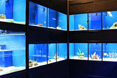 Marine Fish Enclosures