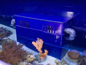 Marine Fish Care Commercial Display Rack