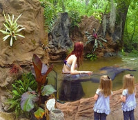 Mermaid 3D Aquarium Display