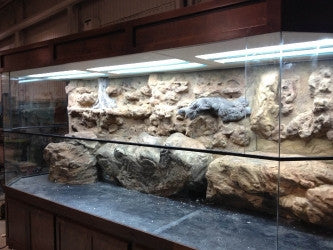 Exhibit "Alligators and Turtles"