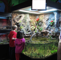 Open Top 3D Aquarium in a Childrens Nature Center