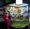 Open Top 3D Aquarium in a Childrens Nature Center