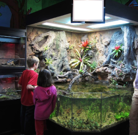 Open Top 3D Aquarium in a Childrens Nature Center
