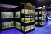DAS Aquariums Thrive Freshwater Fish Enclosure Retail Unit