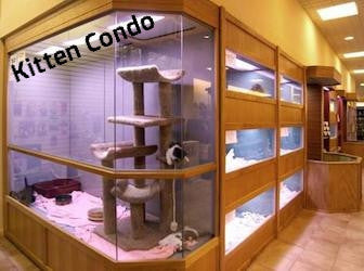 Custom Design Puppy or Kitten Kennels