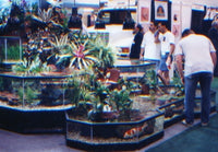 Our Rainforest 3D Aquarium Paludarium display is a show-stopping centerpiece display
