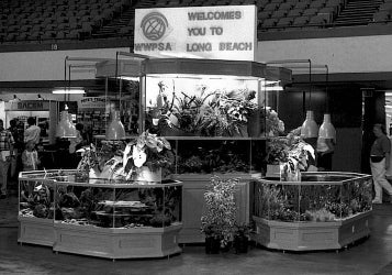 3D Aquarium Display "Long Beach Show"