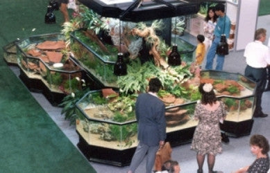 Our Rainforest 3D Aquarium Paludarium display is a show-stopping centerpiece display