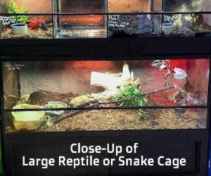 Commercial Reptile Display Racks