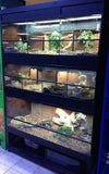 Commercial Reptile Display Rack