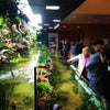 Custom Design River Bank Tank Amazing Aquarium Display