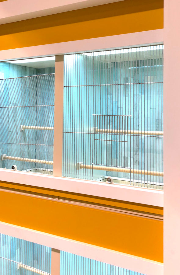 Bird or Small Parrot Commercial Aviaries