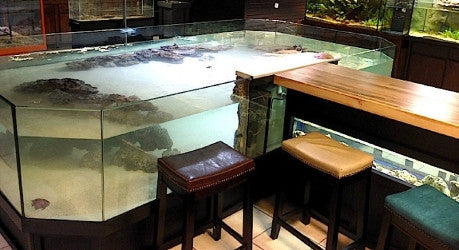 Exhibit "Stingray Coffee Bar"