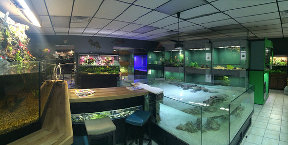 Exhibit "Stingray Coffee Bar"