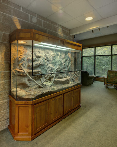 Exhibit "Rattle Snake Terrarium"
