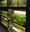 DAS Aquariums THRIVE Bay Enclosure Plant Merchandiser