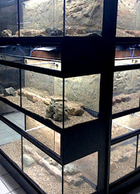 DAS Aquariums Thrive Enclosures with Bio Box Filtration