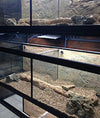 DAS Aquariums Thrive Enclosures with Bio Box Filtration