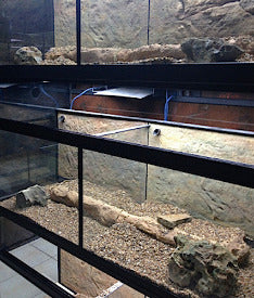 DAS Aquariums Thrive Enclosures with Bio Box Filtration