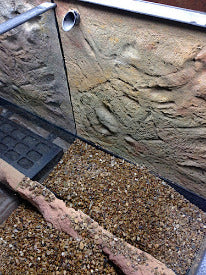 DAS Aquariums Thrive Enclosures with Bio Box Filtration