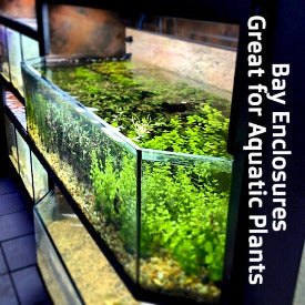 DAS Aquariums THRIVE Bay Enclosure Plant Merchandiser