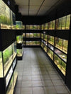 DAS Aquariums Thrive Freshwater Enclosure Fish Retail Unit