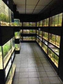 DAS Aquariums Thrive Freshwater Enclosure Fish Retail Unit